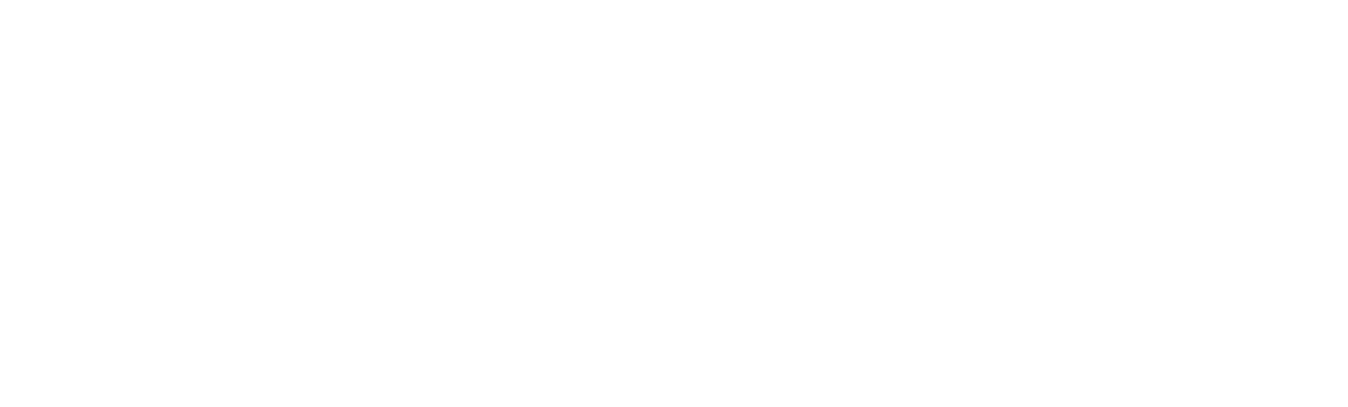 castelli_logo white